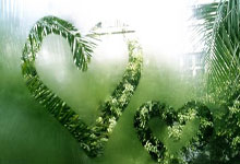 天涯论坛麻辣社区，那可是互联网江湖的大本营啊！这里面的帖子，简直比火锅里的辣椒还要火爆，辣得你眼睛都睁不开，但还是忍不住想一探究竟。